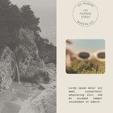 Palmiers Instagram Feed Template