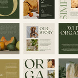 GAIA Instagram Template