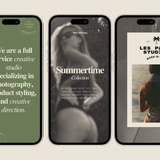Palmiers Instagram Story Template
