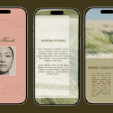 Spring Aurora Instagram Story Template