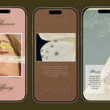 Spring Aurora Instagram Story Template
