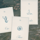 Coastal Charm Table Number Design